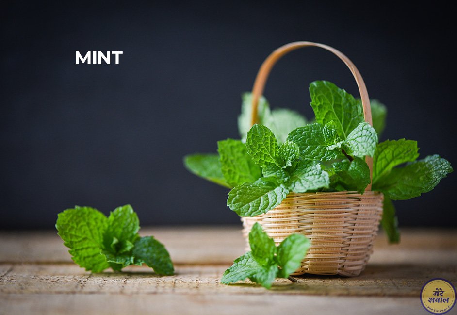Mint