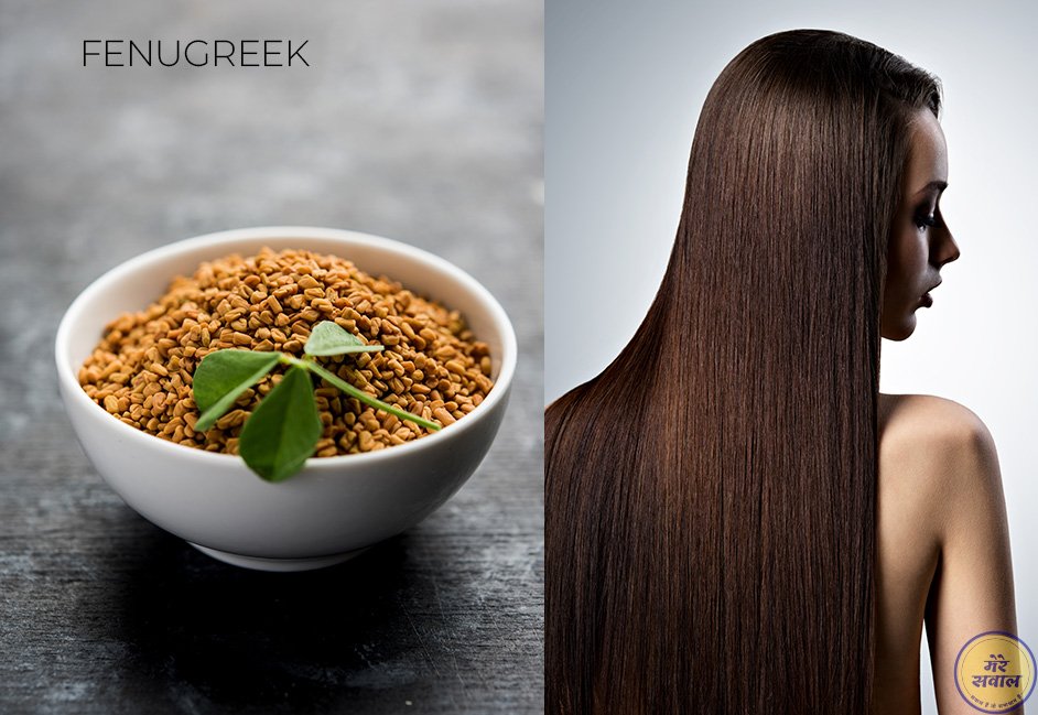 Fenugreek
